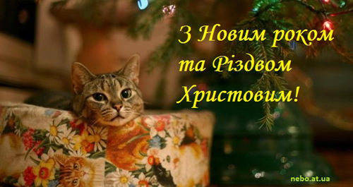 Вітальні листівки з Новим роком та Різдвом Христовим! Котик в м'якому кріслі
