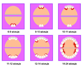 Послідовність росту перших зубів у немовлят