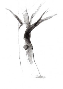 Намалюй дерево: рисунковий тест. Дізнайтеся, чи надійна ви людина